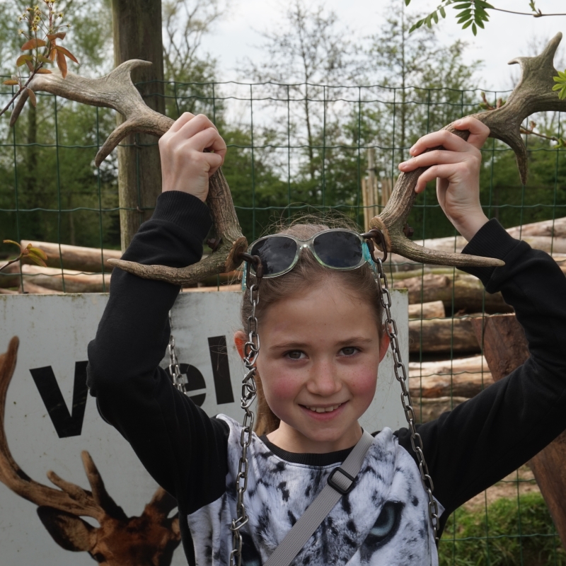 Sortie scolaire - De Zonnegloed - Refuge pour animaux