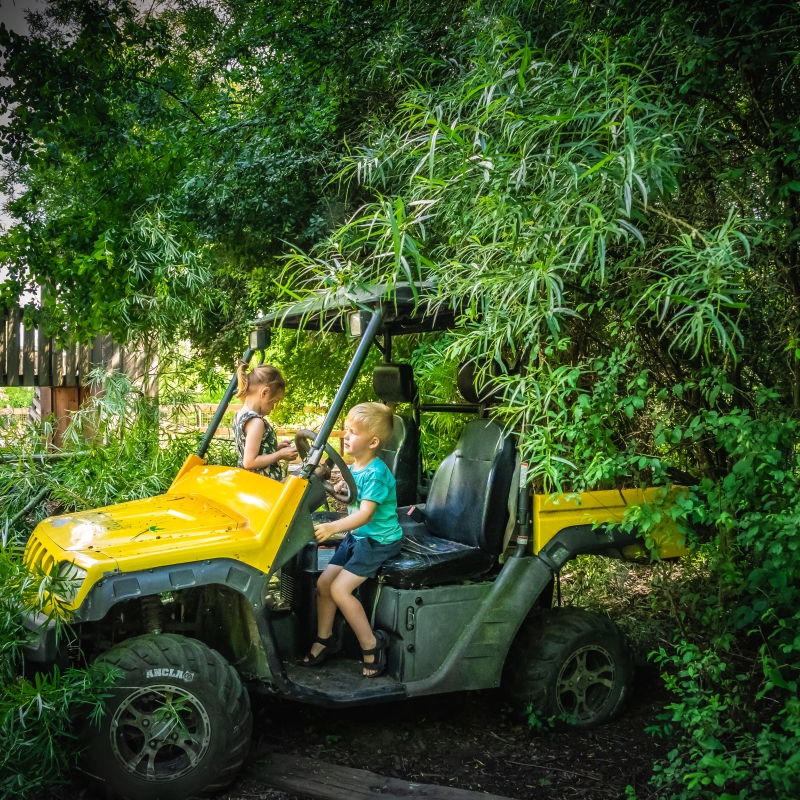 Om te spelen en ontdekken - De Zonnegloed - Dierenpark - Dieren opvangcentrum - Sanctuary