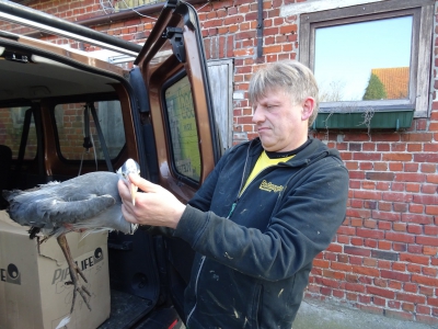 20/03/2019 redding reiger