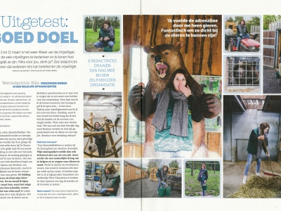 De Zonnegloed in Flair!