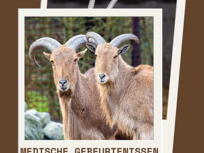 Medische gebeurtenissen April 2024