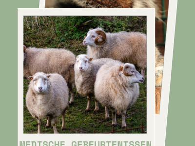 Medische gebeurtenissen Maart 2024