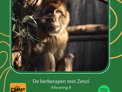 Nieuwste podcast