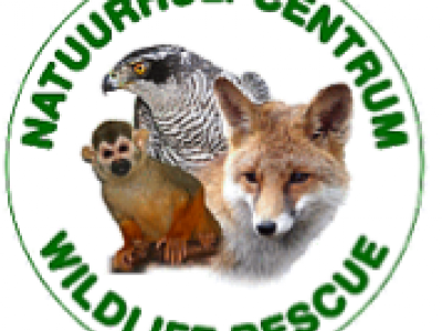 Twee kroonkraanvogels en een grijze roodstaartpapegaai